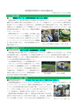 平成26年11月分
