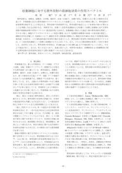 培養細胞に対する紫外放射の殺細胞効果の作用スペクトル