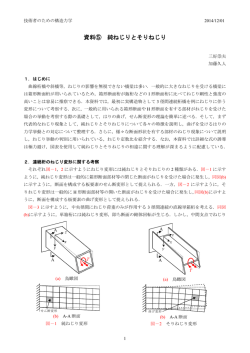 資料⑤ 純ねじりとそりねじり