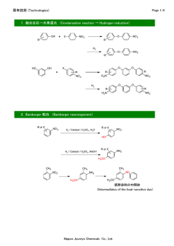 保有技術 (Technologies) 1．縮合反応→水素還元 （Condensation