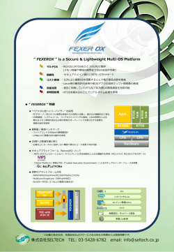 FEXEROX MIPS Product Brochure - 株式会社SELTECH