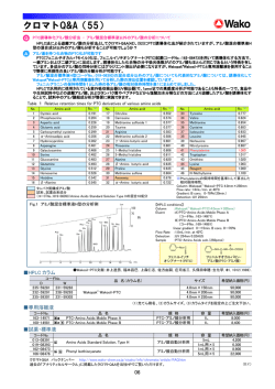 PTC誘導体化アミノ酸分析法における