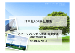 日本版ADR実証報告資料（PDF形式：801KB）
