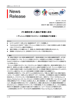 iPS細胞を使った遺伝子修復に成功 - 京都大学