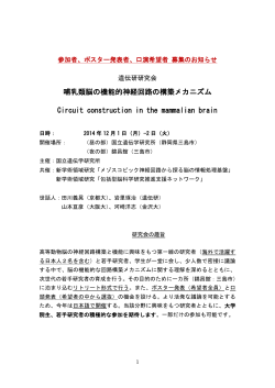 哺乳類脳の機能的神経回路の構築メカニズム Circuit construction in