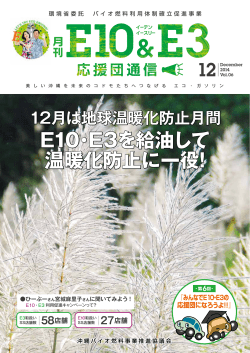 E10 E3 - 環境省委託 バイオ燃料利用体制確立促進事業