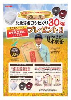 北魚沼産コシヒカリ30kg - 東芝