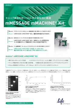 mMESSAGE mMACHINE® Kit - Life Technologies