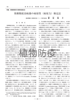 果樹類紋羽病菌の病原性（病原力）検定法