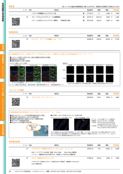 免疫組織化学用試薬 - ナカライテスク