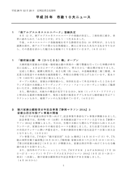 資料（PDFファイル246キロバイト） - 静岡市