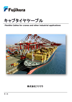 キャブタイヤケーブルカタログ【PDF2.66MB】 - フジクラ