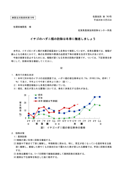 イチゴのハダニ類の防除は冬季に徹底しましょう - 佐賀県