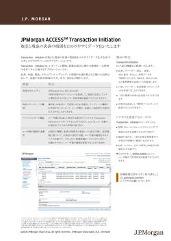 Investment Analytics and Consulting - JP Morgan