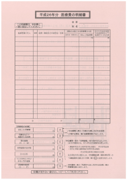 医療費の明細書（PDF形式：952KB） - 桶川市