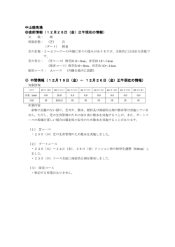 中山競馬場 直前情報（12月26日（金）正午現在の情報）