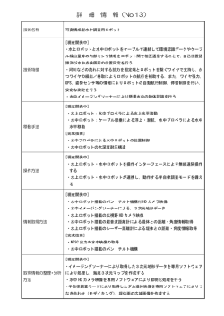 詳 細 情 報（No.13）