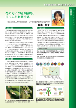 花の匂いが結ぶ植物と 昆虫の相利共生系 - 日本学術振興会