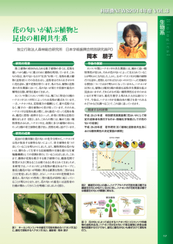 花の匂いが結ぶ植物と 昆虫の相利共生系 - 日本学術振興会