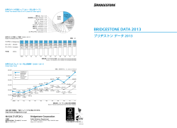 BRIDGESTONE DATA 2013