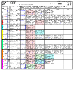 無料競馬新聞PDF 京都9R