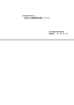 広島南道路太田川放水路橋りょう の計画と設計