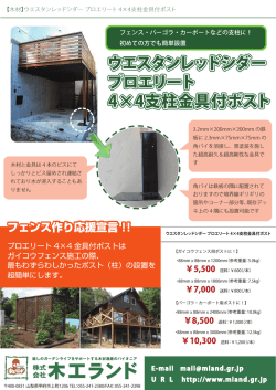ウエスタンレッドシダー プロエリート 4×4支柱金具付ポスト ウエスタン
