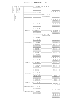 組織図 (PDF 42KB) - サニックス