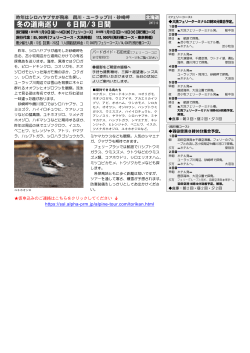 冬の道南巡り 6日間/3日間