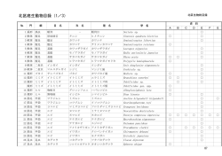 北区底生動物目録（1／3）