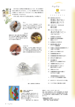「東京の野鳥探訪」（3ページ） - 公立学校共済組合