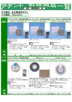 中分類名： 小分類名： 支台築造用ポスト メタルポスト