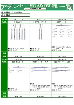 中分類名： 小分類名： スケーラー