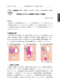 尿沈渣における上皮細胞の出現とその鑑別