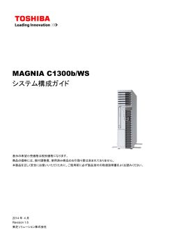 MAGNIA C1300b/WS