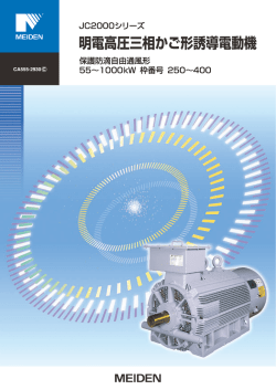 CA555-2930C JC2000シリーズ 高圧三相かご形誘導電動機 保護防滴