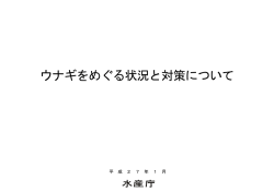 ウナギをめぐる状況と対策について - 水産庁