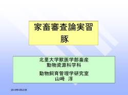 第一回 豚体部位の名称