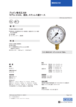 ブルドン管式圧力計 モデル 213.53、 液封、ステンレス製ケース