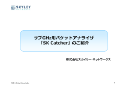 サブGHzパケットアナライザ 「SK Catcher」のご紹介