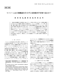 リソソームは小胞輸送を介さずに生体高分子を取り込む