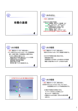 プレゼン