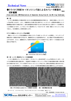 クライオ(冷却)Arイオンミリング法によるセパレータ断面のSEM観察