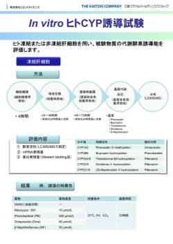 In vitro ヒトCYP誘導試験