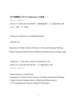 好中球顆粒における Pentraxin 3 の発現
