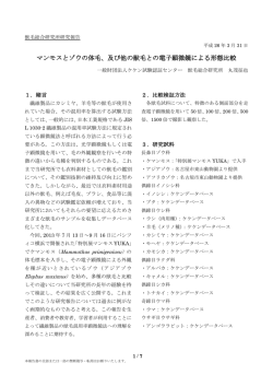 リンク先 - JWIF 一般財団法人 ケケン試験認証センター