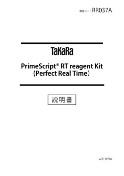 PrimeScript® RT reagent Kit (Perfect Real Time