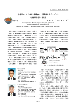 効率的にヒト iPS 細胞を大量増幅するための 培養操作法の開発