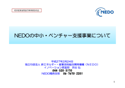 NEDOの中小・ベンチャー支援事業について（PDF:2.4