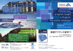Choose your program taught in English: The online catalogue;pdf